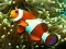 Spēle Underwater Hidden Numbers online
