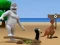 Spēle Albatross Overload online