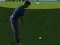 Spēle Flash Golf 3D online