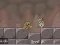 Spēle Roly-Poly Eliminator 2 online