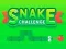 Spēle Snake Challenge online