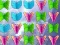 Spēle Butterfly Collector online