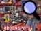 Spēle Hidden Spots In The Room online