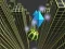 Spēle Marble Rolling Stunt online