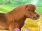 Spēle My Dear Pony online