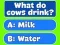 Spēle Trivia Best Family Quiz online