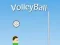 Spēle VolleyBall online