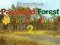 Spēle Mysterious Password Forest Autumn Edition 2 online