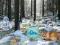 Spēle Winter Wonderland Forest Adventure online