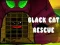 Spēle Black Cat Rescue online