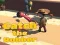Spēle Catsh the robber online