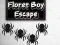 Spēle Floret Boy Escape online