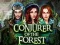 Spēle Conjurer Of The Forest online