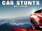 Spēle Car Stunts Sky Tour online