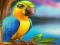 Spēle Little Parrot Escape online