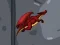 Spēle Dragon Domination online