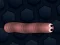 Spēle Math Slither online