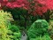 Spēle Maple Leaf Garden Escape online