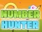 Spēle Number Hunter online