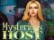 Spēle Mysterious host online