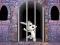 Spēle Victory Rabbit Escape online