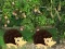 Spēle Escape From Mango Farm online
