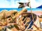 Spēle Pirate Mysteries online