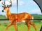 Spēle Wild Hunt Hunting Games 3D online