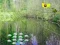 Spēle Sunlight Forest Adventure online