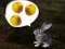 Spēle The Foggy Forest online
