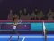 Spēle Badminton Brawl online