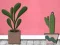 Spēle Find Houseplant online