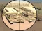 Spēle Camo Sniper online