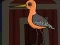 Spēle Cute Godwit Escape online
