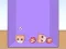 Spēle Evolution of Cat Memes online
