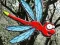 Spēle Escape From Dragonfly Forest online