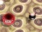 Spēle Bouncing Blob online