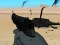 Spēle Weapon online