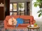 Spēle Wakeup The Grandpa online