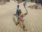 Spēle The Scythian Warrior online