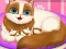 Spēle Cute Kitty Pregnant online