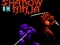 Spēle Shadow of the Ninja online