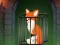 Spēle Fox in the Forgotten Ruins online