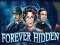Spēle Forever Hidden online