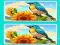 Spēle Spot the Difference The Garden online