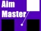 Spēle Aim Master online