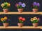 Spēle Good Flower Master online