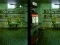 Spēle Robot Bar Spot the differences online