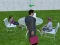 Spēle Millionaire Simulator 2024 online