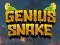 Spēle Genius Snake online